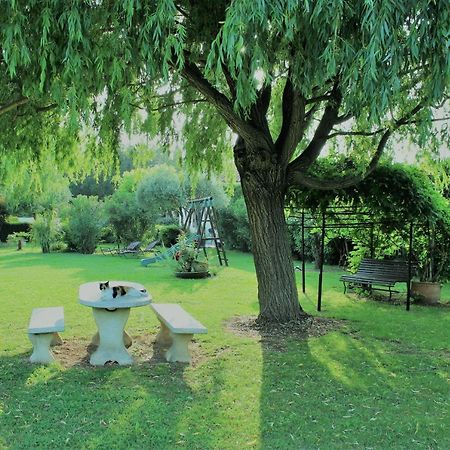 Gites Maisons De Vacances Domaine La Chamade 카르팡트라 외부 사진